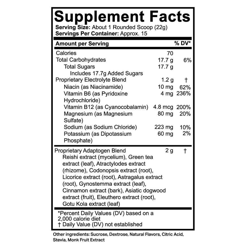 Endurance Electrolyte Lemonade Iced Tea Mix 11.6 oz SnackMagic