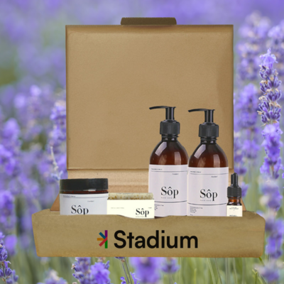 The Healing Touch of Lavender image