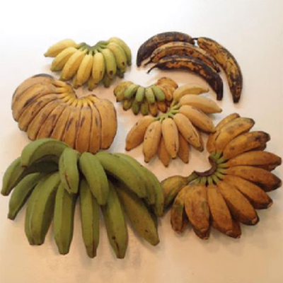 Small Banana Variety Box (3-5 lbs.) image