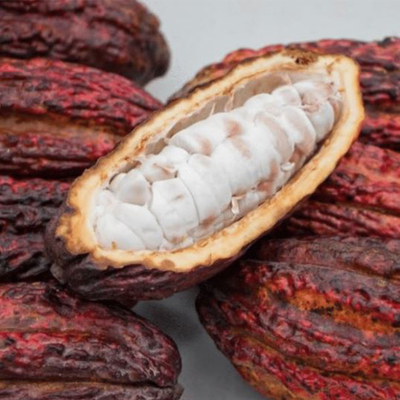Small Cacao Box (3-5 lbs.) image