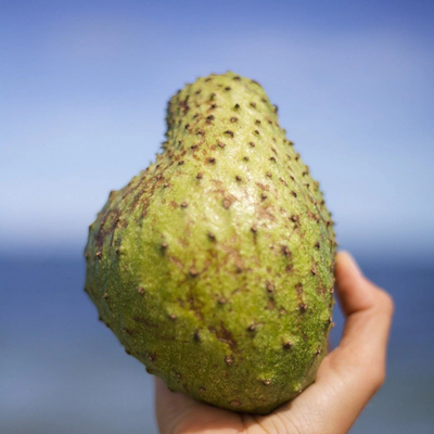Small Premium Soursop Box (3-5 lbs.) image