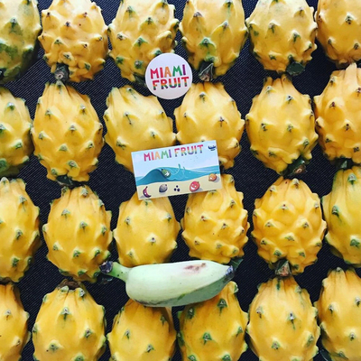 Small Yellow Dragonfruit Box (3-5 lbs.)