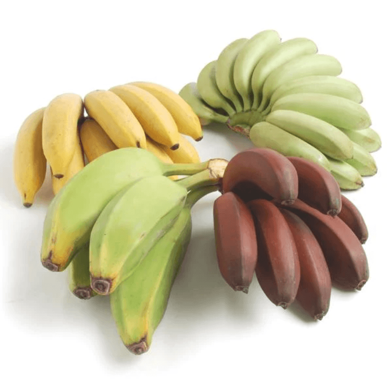 Banana Sampler image