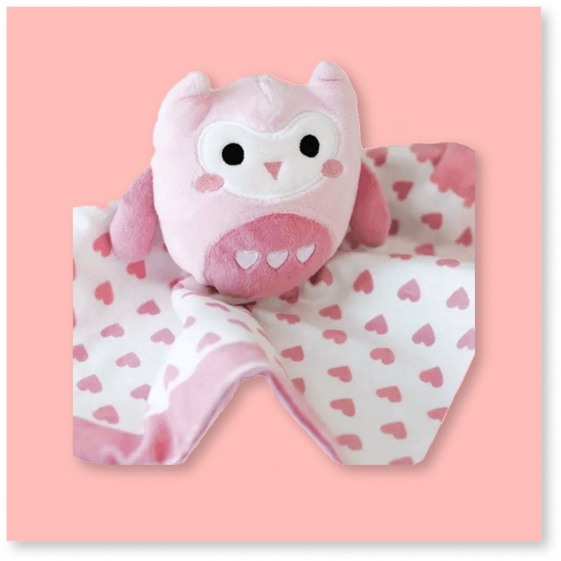 Lovely Owl Blanket image