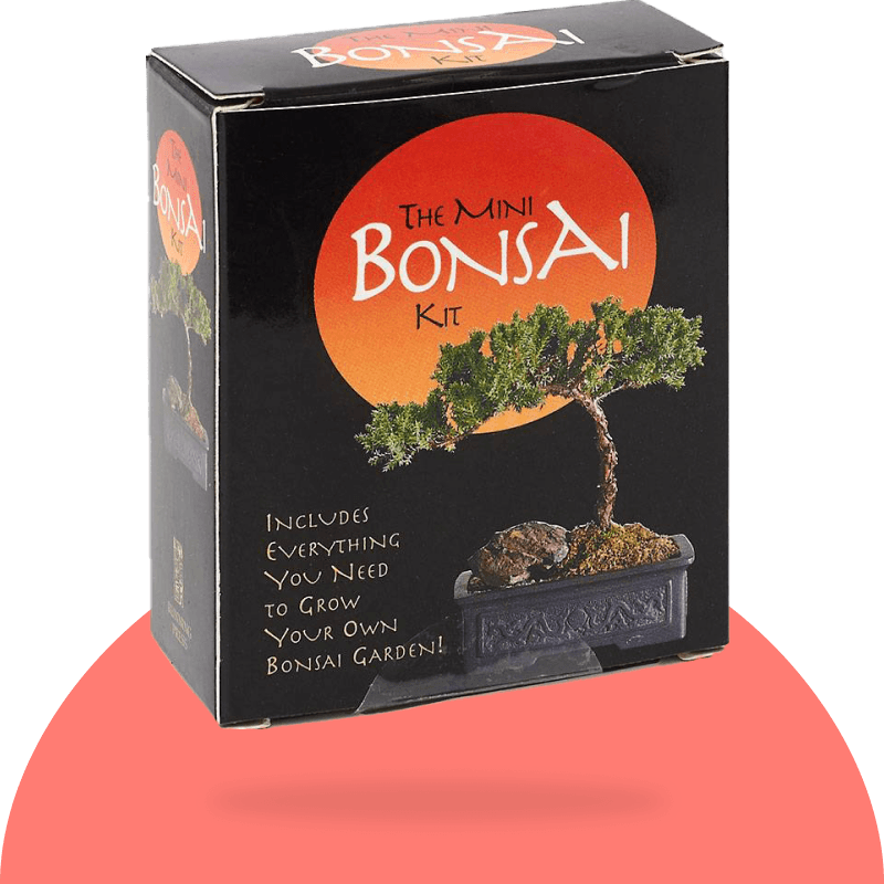 The Mini Bonsai Kit (Miniature Edition) | Snackmagic | Build your own 100%  Custom Snack Stash