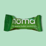 Mini Peanut Butter Coconut Bar 0.4 oz
