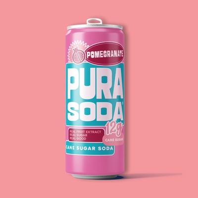 Pomegranate Sparkling Flavored Soda 10.1 fl oz image
