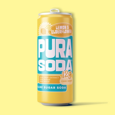 Lemon & Elderflower Sparkling Flavored Soda 10.1 fl oz image