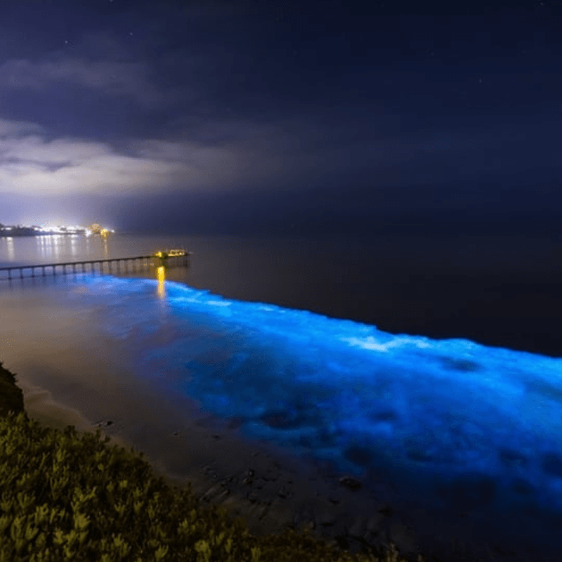 Enchanting Bioluminescent Kayak Adventure for 2 - Orlando image