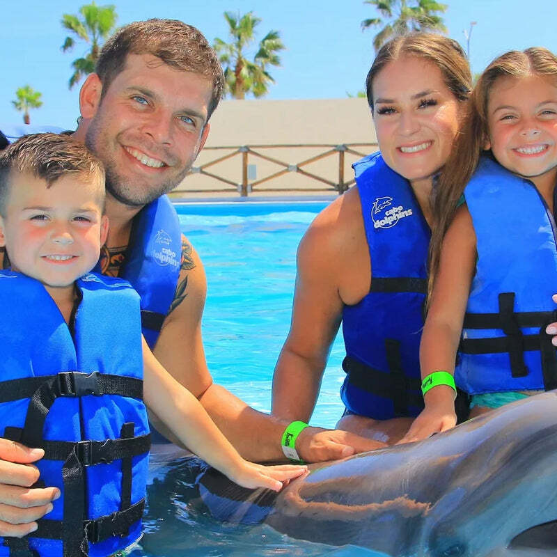 Cabo Dolphin Family Encounter -20 mins image