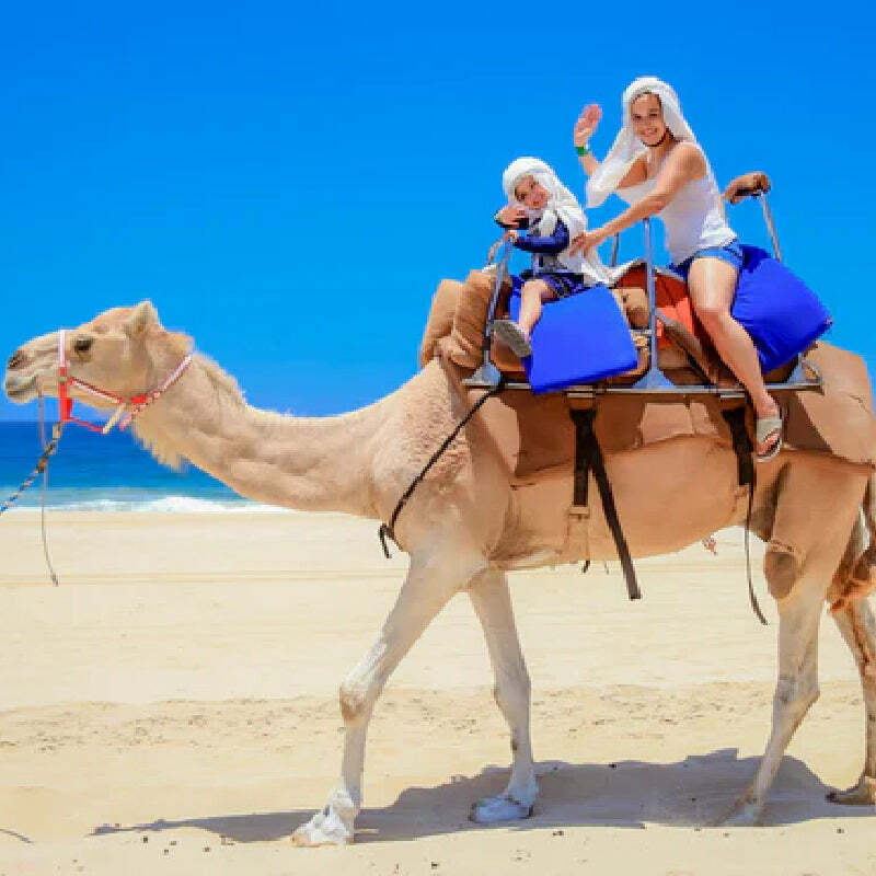 Cabo Outback & Camel Safari  image