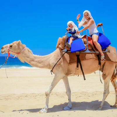 Cabo Outback & Camel Safari 