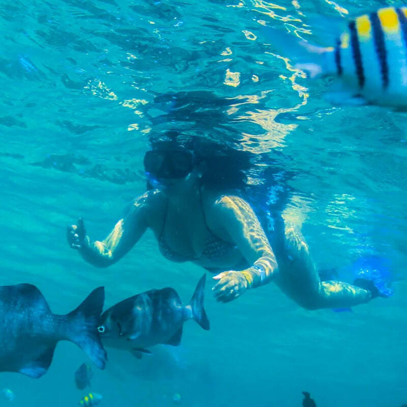 Riviera Maya - Playa del Carmen Luxury Sailing & Snorkeling image