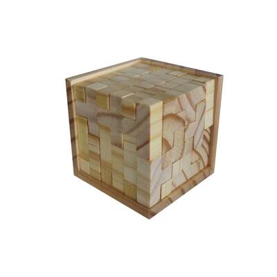 54 Piece Wooden Brain Teaser Puzzle