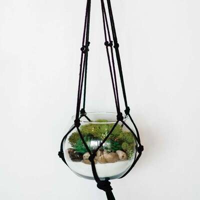 Hanging Terrarium Kit image