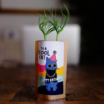 Cool Cat Birthday Tree + 10 More Trees Planted image