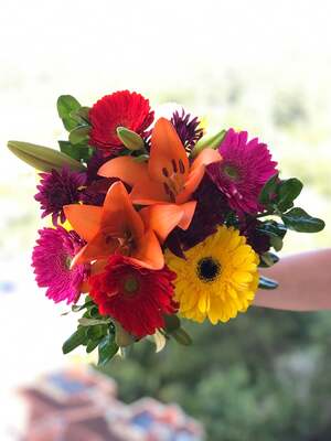 All Daisy Long Flower Bouquet image