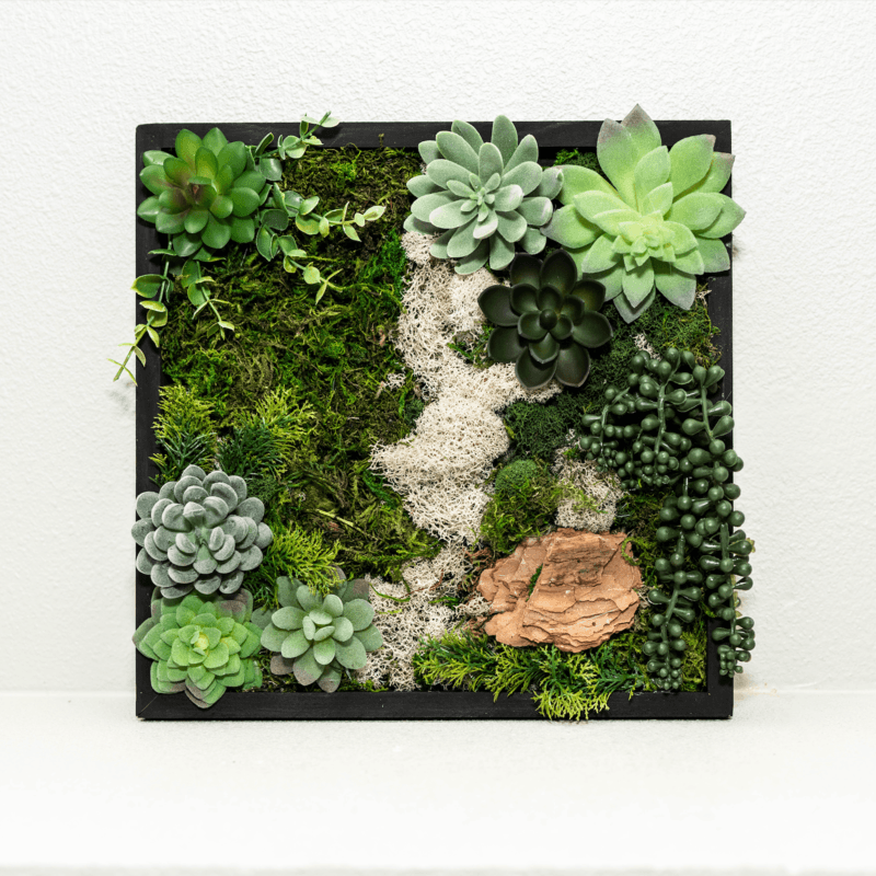 Moss Wall Kit image