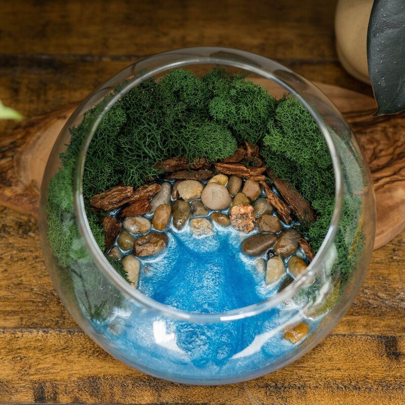 Resin Terrarium Kit image