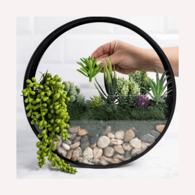 At-Home DIY Wall Terrarium Kit image