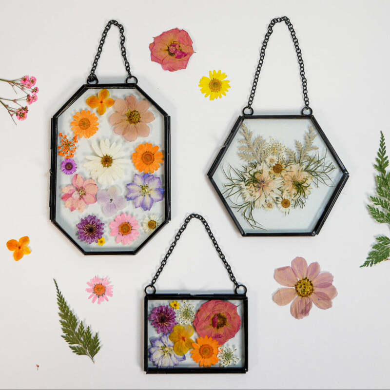 Framed Pressed Flowers Kit image