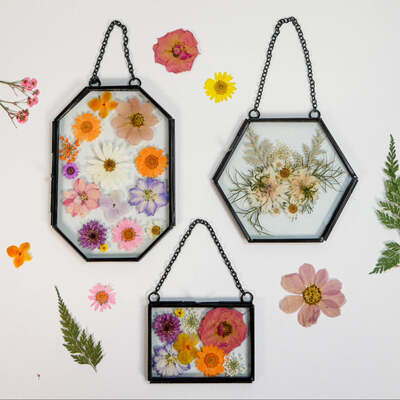 Framed Pressed Flowers Kit
