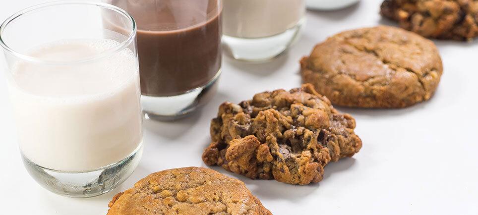 Bang Cookies-carouselImage-https://images.snackmagic.com/spree/provider_carousel_image/1045/bulk_medium/gniuzkg4ayw89t60xtdtyeaimlae.?1762163042