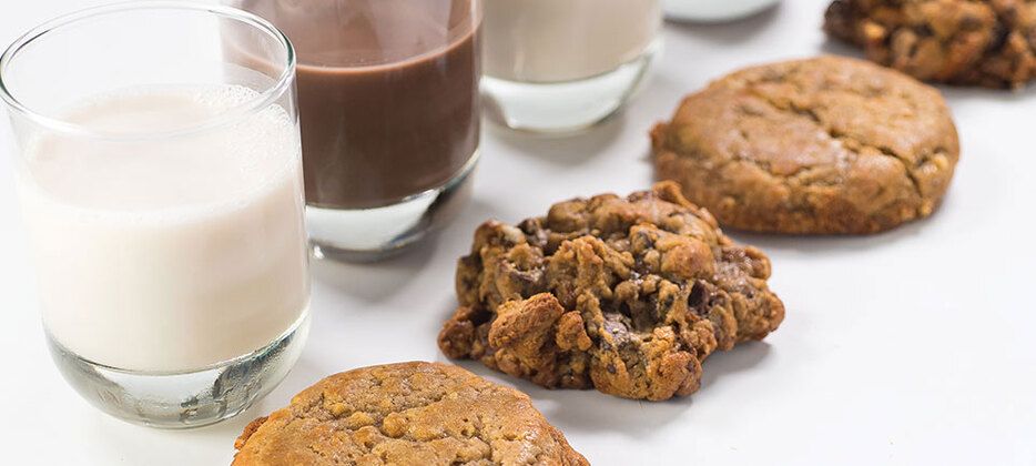 Bang Cookies-carouselImage-https://images.snackmagic.com/spree/provider_carousel_image/1045/medium/gniuzkg4ayw89t60xtdtyeaimlae.?1762163042