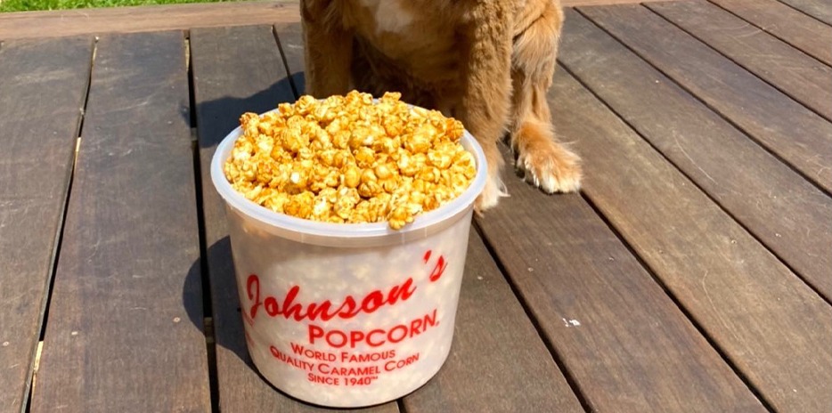Johnson's Popcorn-carouselImage-https://images.snackmagic.com/spree/provider_carousel_image/1130/bulk_medium/cpp65ylu1crbkhaa1c55z7xmj76k.?1750231626