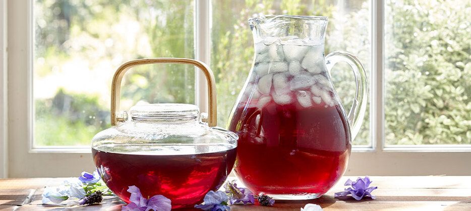 The Republic of Tea-carouselImage-https://images.snackmagic.com/spree/provider_carousel_image/1321/medium/0qcmh441htu6c3bvckywxvw7moor.?1762163197