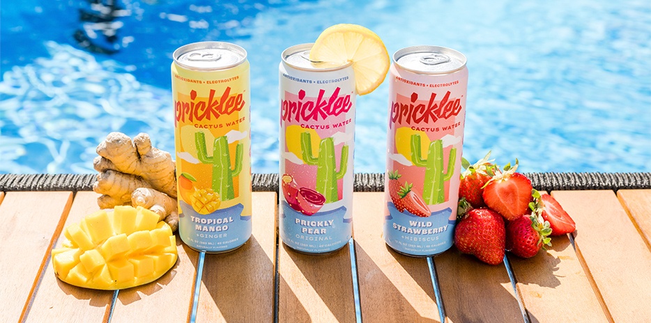 Pricklee-carouselImage-https://images.snackmagic.com/spree/provider_carousel_image/1369/bulk_medium/9537lo76uqsg2mbl6n519fm8wtny.?1762161962