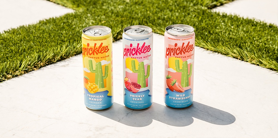 Pricklee-carouselImage-https://images.snackmagic.com/spree/provider_carousel_image/1369/bulk_medium/vh49j8qwundr1p8x9o9wpl84ut3i.?1762161987