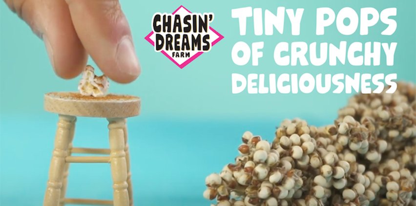 Chasin' Dreams Farm-carouselImage-https://images.snackmagic.com/spree/provider_carousel_image/1506/bulk_medium/ite7vhee98tw7nxjqwj2n62oefl5.?1758815590