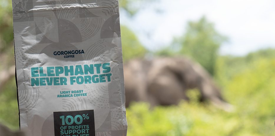 Our Gorongosa-carouselImage-https://images.snackmagic.com/spree/provider_carousel_image/1753/bulk_medium/klr69kys0cg4afl5mdq325v4kdya.?1762162580