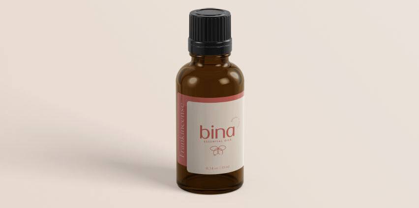 Bina's Essentials-carouselImage-https://images.snackmagic.com/spree/provider_carousel_image/2168/medium/tahmgkiu6kg6jfmvcmdlxk4n59al.?1762162416