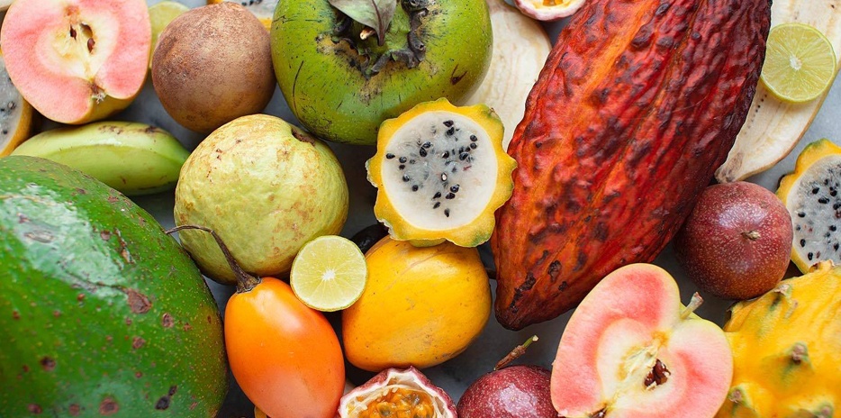 Miami Fruit-carouselImage-https://images.snackmagic.com/spree/provider_carousel_image/2287/medium/hwg36uzllq2fzhj9zwsu4de2azlu.?1762162618