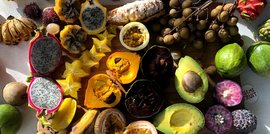 Miami Fruit-carouselImage-https://images.snackmagic.com/spree/provider_carousel_image/2287/medium/vm6er2nz4ibv6x0g4v6b8kgikehv.?1762162596