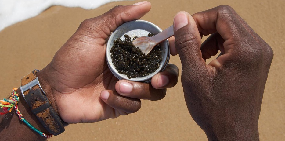 Pearl Street Caviar-carouselImage-https://images.snackmagic.com/spree/provider_carousel_image/2293/bulk_medium/fh8x7nt5dslrv3gvla8hkampqoas.?1762162078