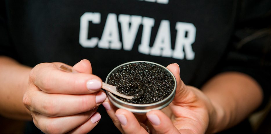 Pearl Street Caviar-carouselImage-https://images.snackmagic.com/spree/provider_carousel_image/2293/bulk_medium/s44iasv9m5ax0fd9zjppmfe8ua4t.?1762162060