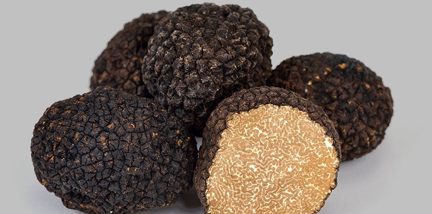 Trufflin-carouselImage-https://images.snackmagic.com/spree/provider_carousel_image/2360/bulk_medium/cp5mp1aeutpfsd93p5bxbxeychvr.?1762163703