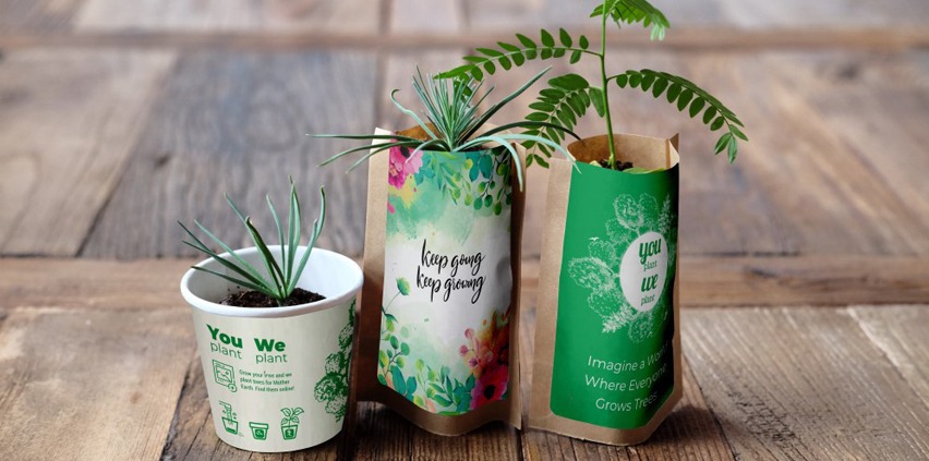 ForestNation-carouselImage-https://images.snackmagic.com/spree/provider_carousel_image/2464/bulk_medium/2td6or8xs22abskonq112s7da7vf.?1756752548