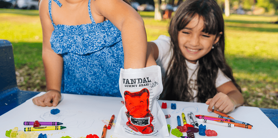 Vandal Gummy Bears-carouselImage-https://images.snackmagic.com/spree/provider_carousel_image/5154/medium/pp59io0rjadgglupmtosouh1em11.?1752756833