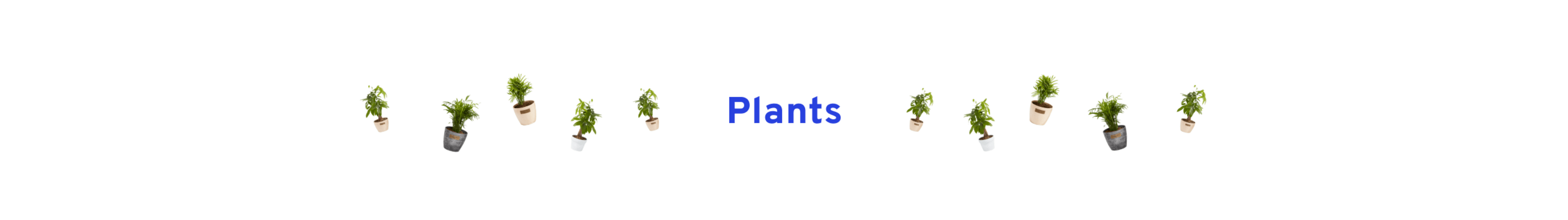 Plants
