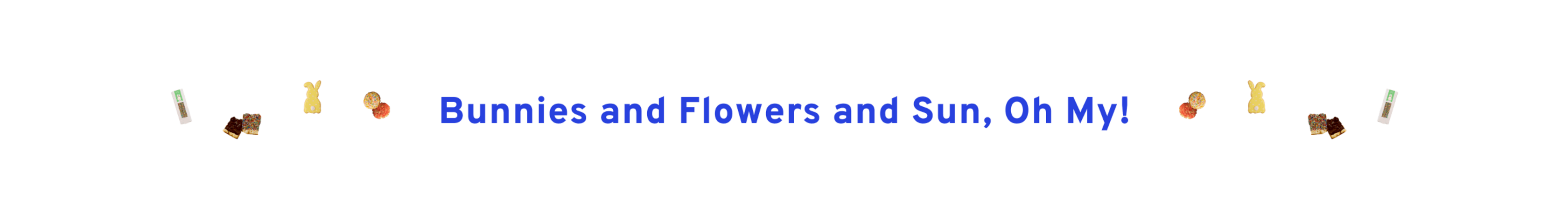 Bunnies and Flowers and Sun, Oh My!
